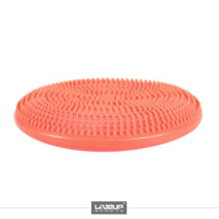 MASSAGE CUSHION