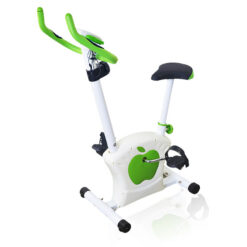 APPLE UPRIGHT BIKE (Imported)