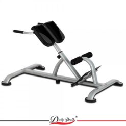 Daily Youth Roman Bench & Back Extension (1520)