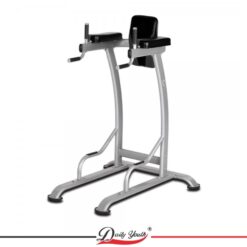 Daily Youth Vertical Knee Raise with Dipping-1529