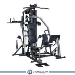 HORIZON MULTIGYM - TORUS 5
