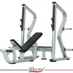 Daily Youth Olympic Incline Bench (GC105)