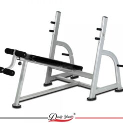 Daily Youth Decline Power Bench-Olympic Standard-1525