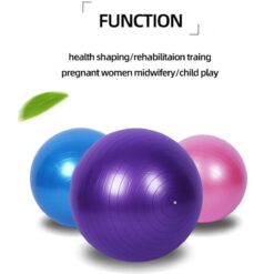Gym Balls