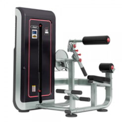 Daily Youth Back Extension Machine (GS309)