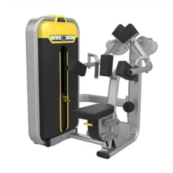 BMW-003A Lateral Raise Top Quality Commercial Fitness
