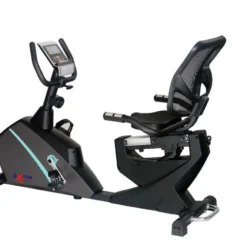 OXYGEN FITNESS RECUMBENT BIKE