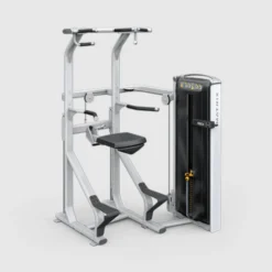 Versa Chin / Dip Assist