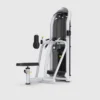 Aura Diverging Seated Row