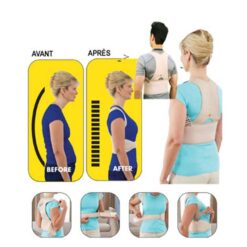 Royal Posture - Back Support Belt