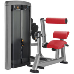 INSIGNIA SERIES BACK EXTENSION