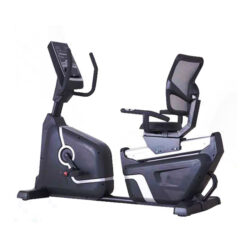 Recumbent Bike ZF-9500