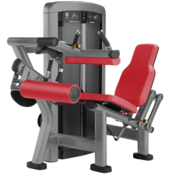 INSIGNIA SERIES SEATED LEG CURL