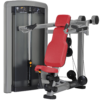 INSIGNIA SERIES SHOULDER PRESS