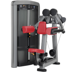 INSIGNIA SERIES LATERAL RAISE