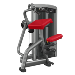 INSIGNIA SERIES TRICEPS EXTENSION