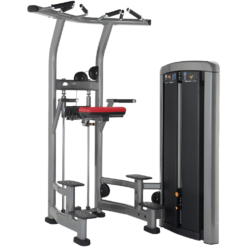INSIGNIA SERIES ASSIST DIP CHIN
