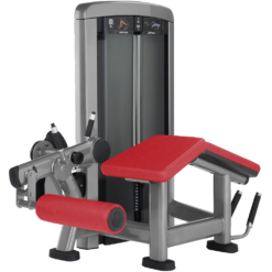 INSIGNIA SERIES LEG CURL