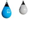 LIVEPRO AQUA BOXING BAG