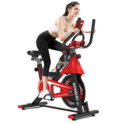 Alternative view of SPINNING BIKE Q3