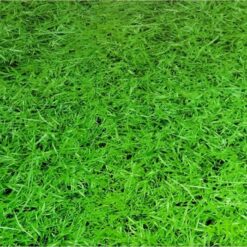 Alternative view of Green Temoli Grass Flooring Interlocking