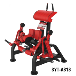 Kneeling Leg Curl SYT A818