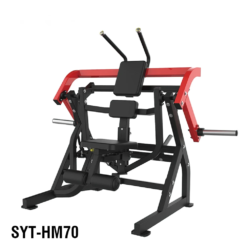 Abdominal Oblique Crunch SYT-HM70
