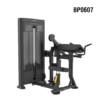 BP-0607 Seated Biceps & Triceps