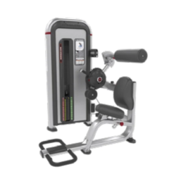 IPBE3 BACK EXTENSION