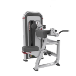 IPBA3 BILATERAL ARM CURL