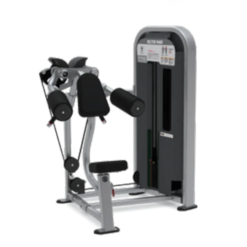 9NA-S4302 DELTOID RAISE