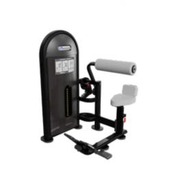9NL-D6330 DUAL ABDOMINAL/LOWER BACK