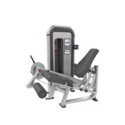 IPLE3 LEG EXTENSION
