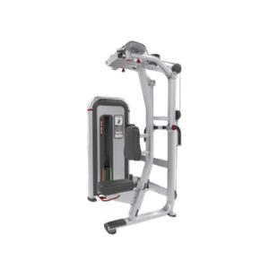 IPPF3 PEC FLY/ REAR DELTOID