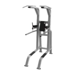 9NP-B7511 PULL-UP/DIP/LEG RAISE