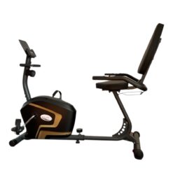 SLIMLINE RECUMBENT BIKE R65503