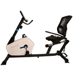EGOJIN RECUMBENT EXERCISE BIKE