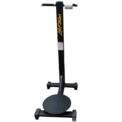 Life Fitness waist twister