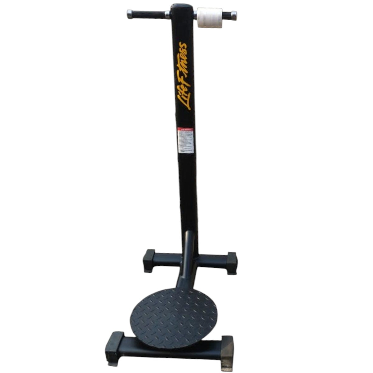 Life Fitness waist twister