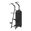 Vision Chin / Dip Assist – VST600-S601