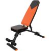 Dumbbell Weight Lifting Multi-Functional Exercise Bench