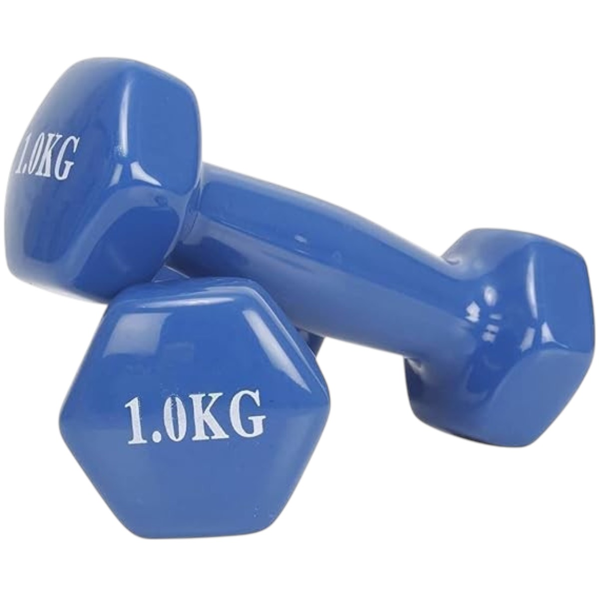 Vinyl Coated Iron Dumbbell 1 Kg
