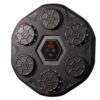 MUSIC BOXING TARGET PW05